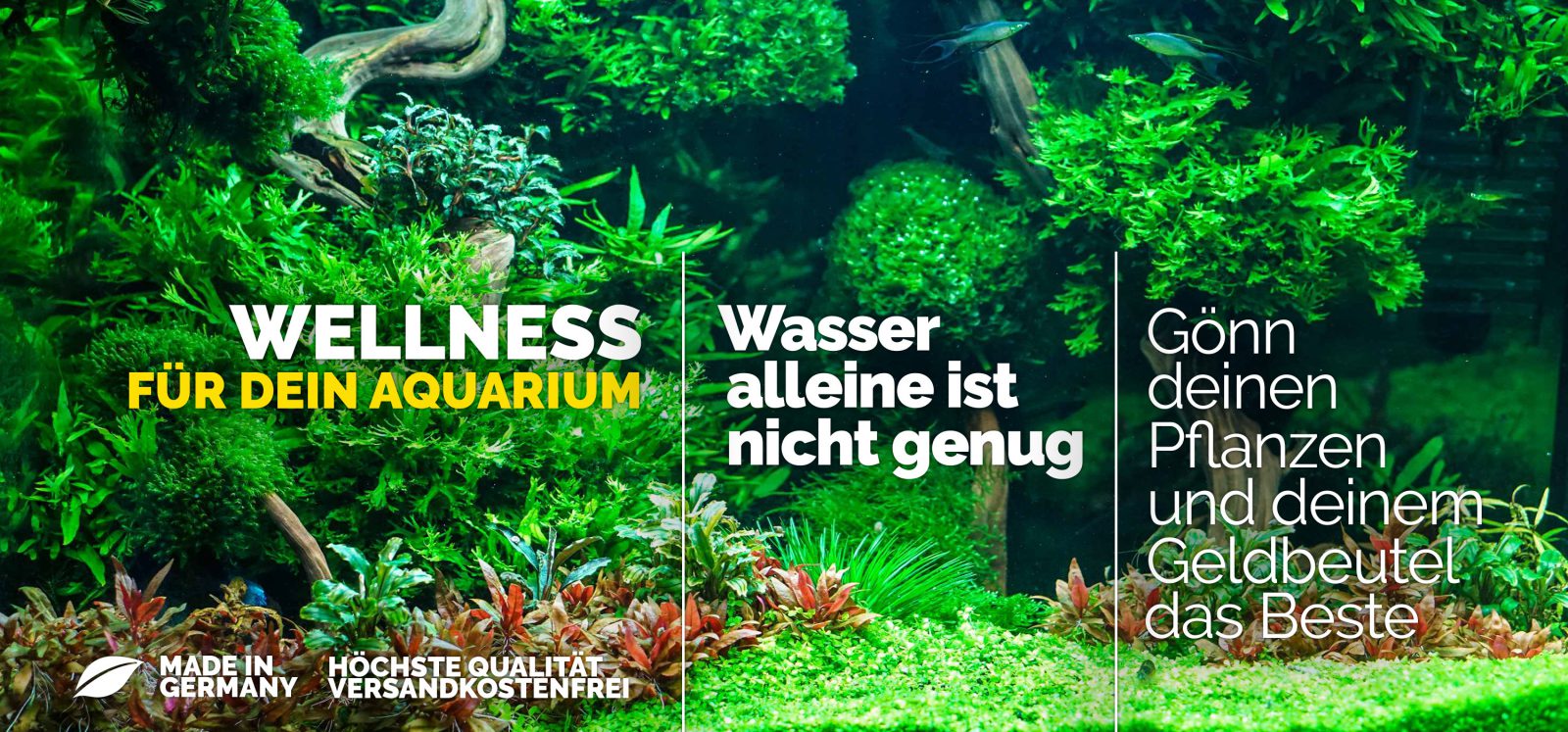 (c) Be-smart-aquarium.de